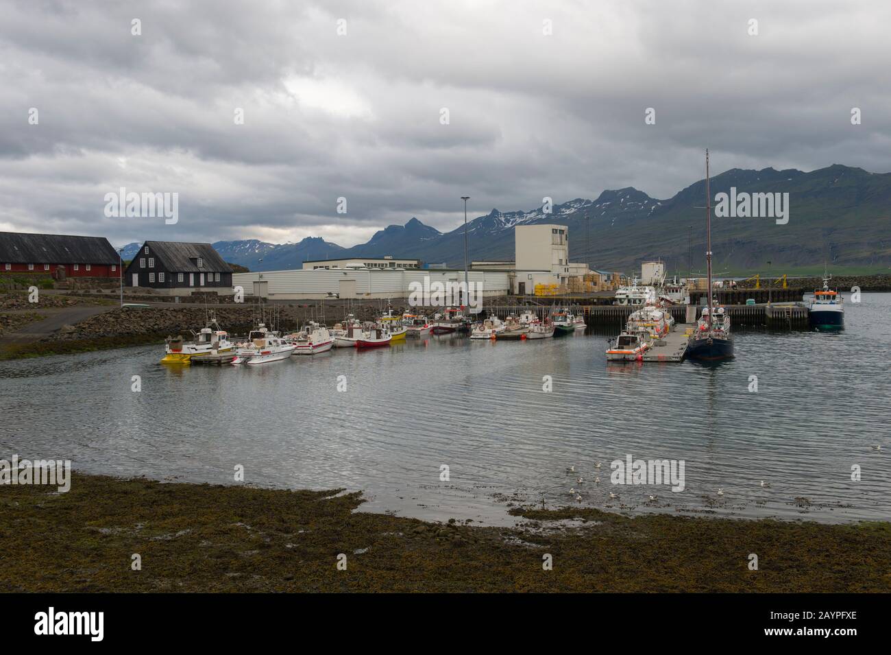 Il porto con barche da pesca a Borgarfjordur nell'Islanda orientale. Foto Stock