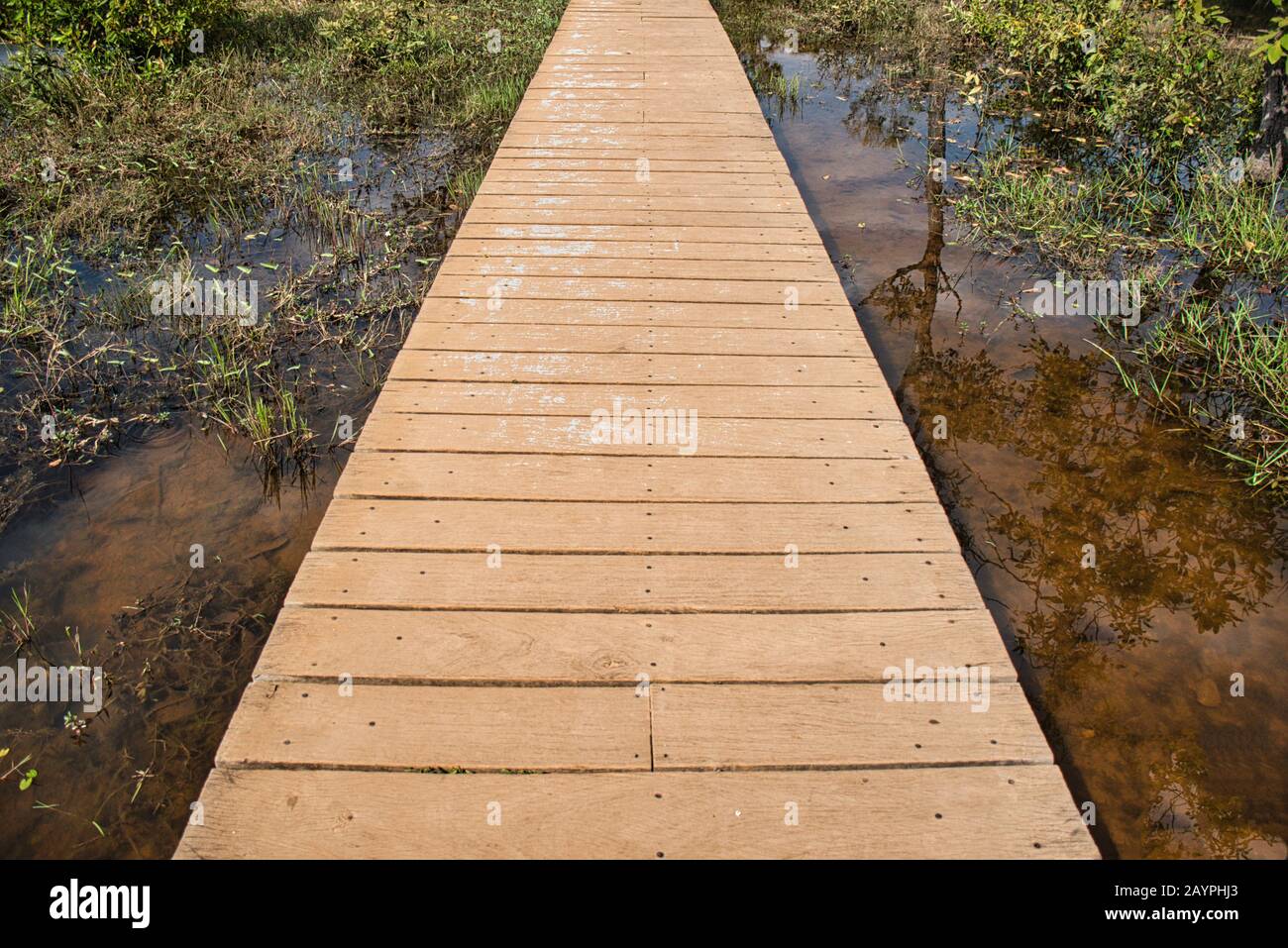 Sopra un laghetto per raggiungere il tempio Khmer di Neak Pean, un'isola artificiale che appartiene al complesso del tempio di Angkor, situato in Cambogia Foto Stock