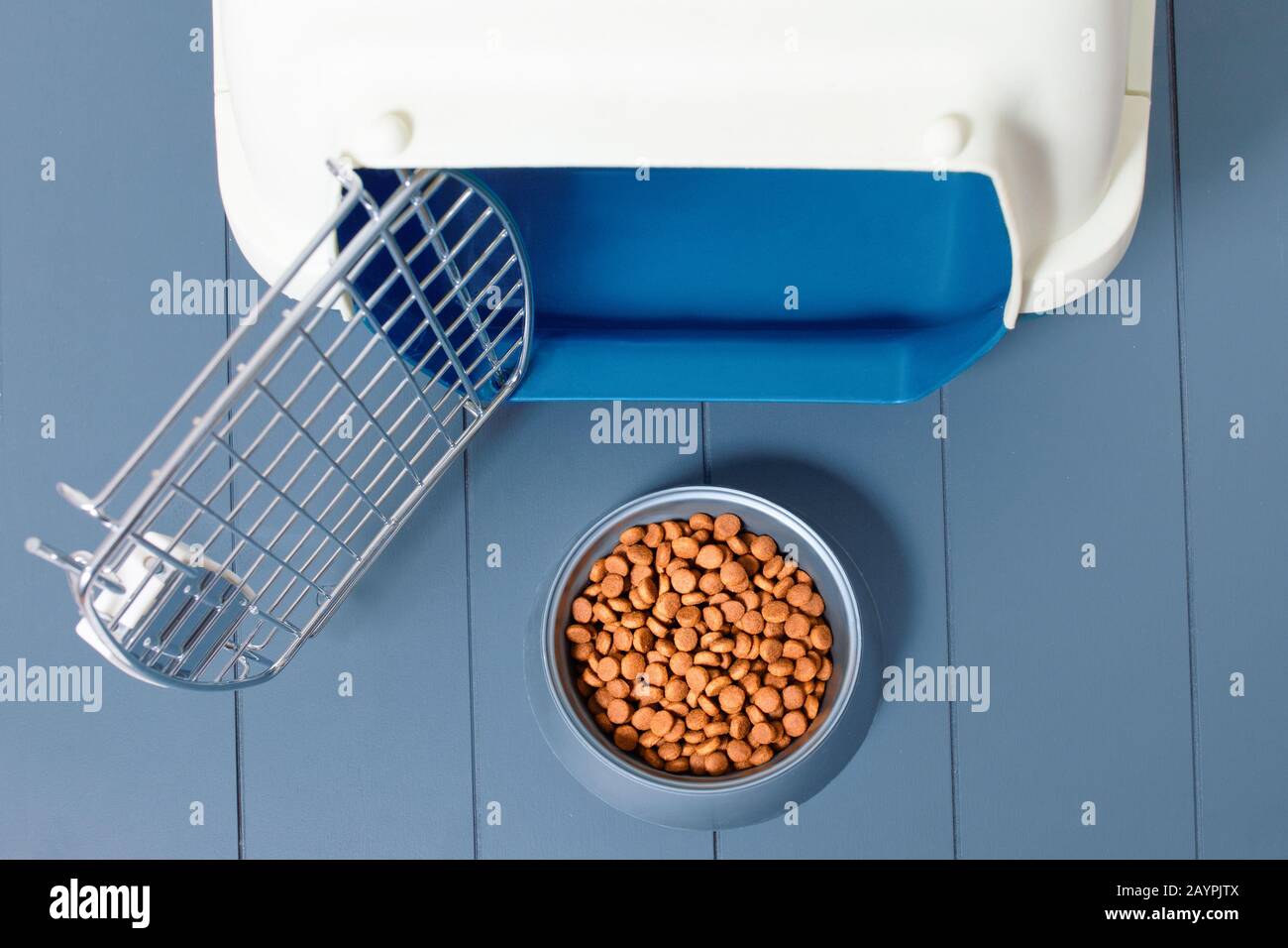 Porta-alimenti e porta-alimenti in plastica per cani e gatti. Dieta e nutrizione adeguata del concetto degli animali domestici Foto Stock