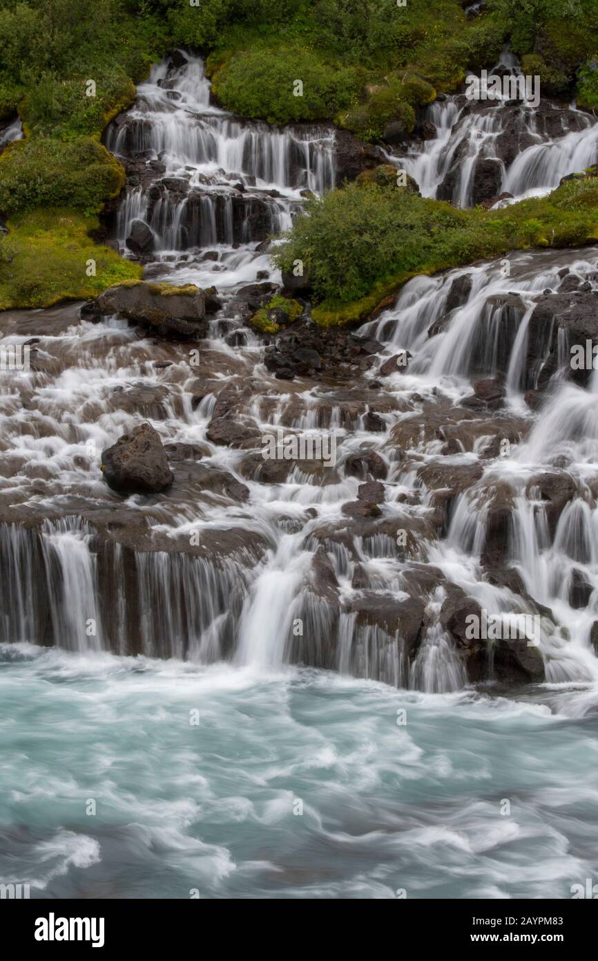 Vista di Hraunfossar (cascate di Lava) in Islanda occidentale sono bei e insoliti fenomeni naturali con chiare sorgenti fredde di acqua sotterranea che attraversa Foto Stock