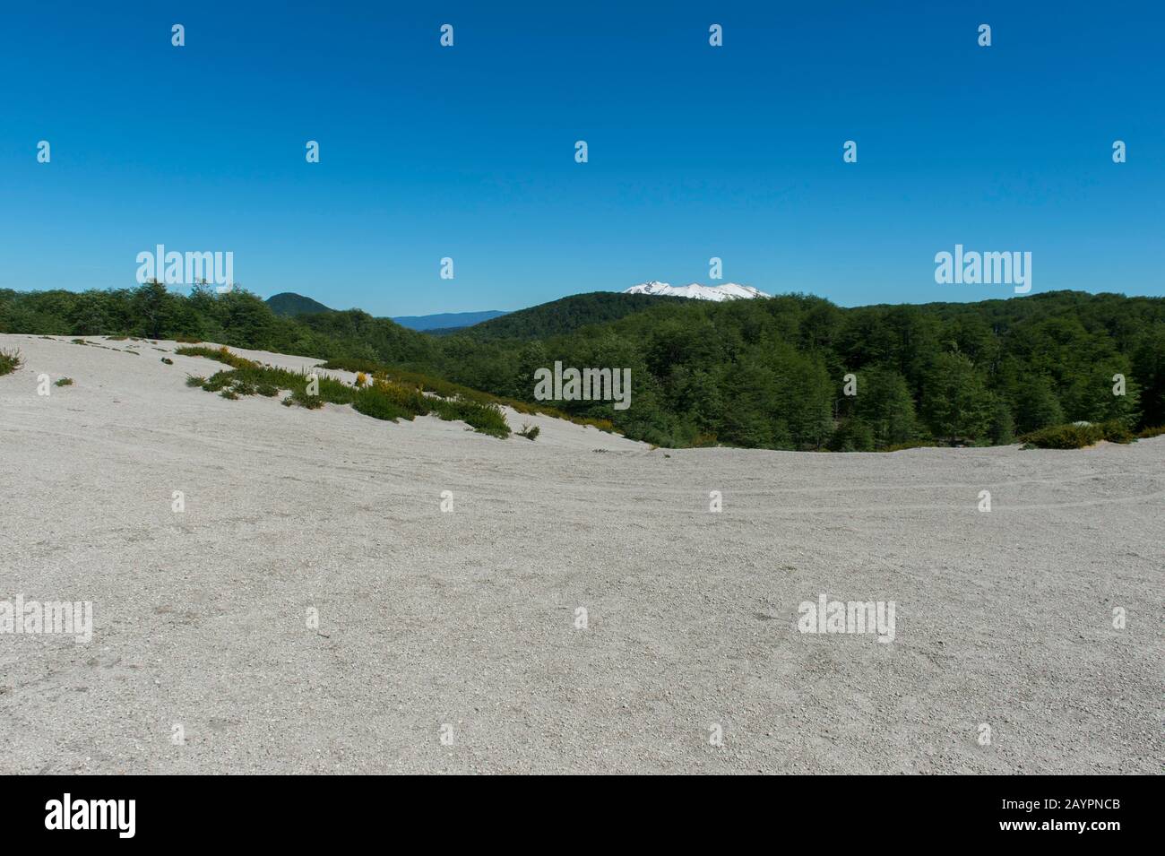 Cenere vulcanica dall'eruzione del Puyehue-Cordón Caulle del 2011 al Passo Cardenal Antonio Samoré, uno dei principali passi di montagna attraverso il so Foto Stock