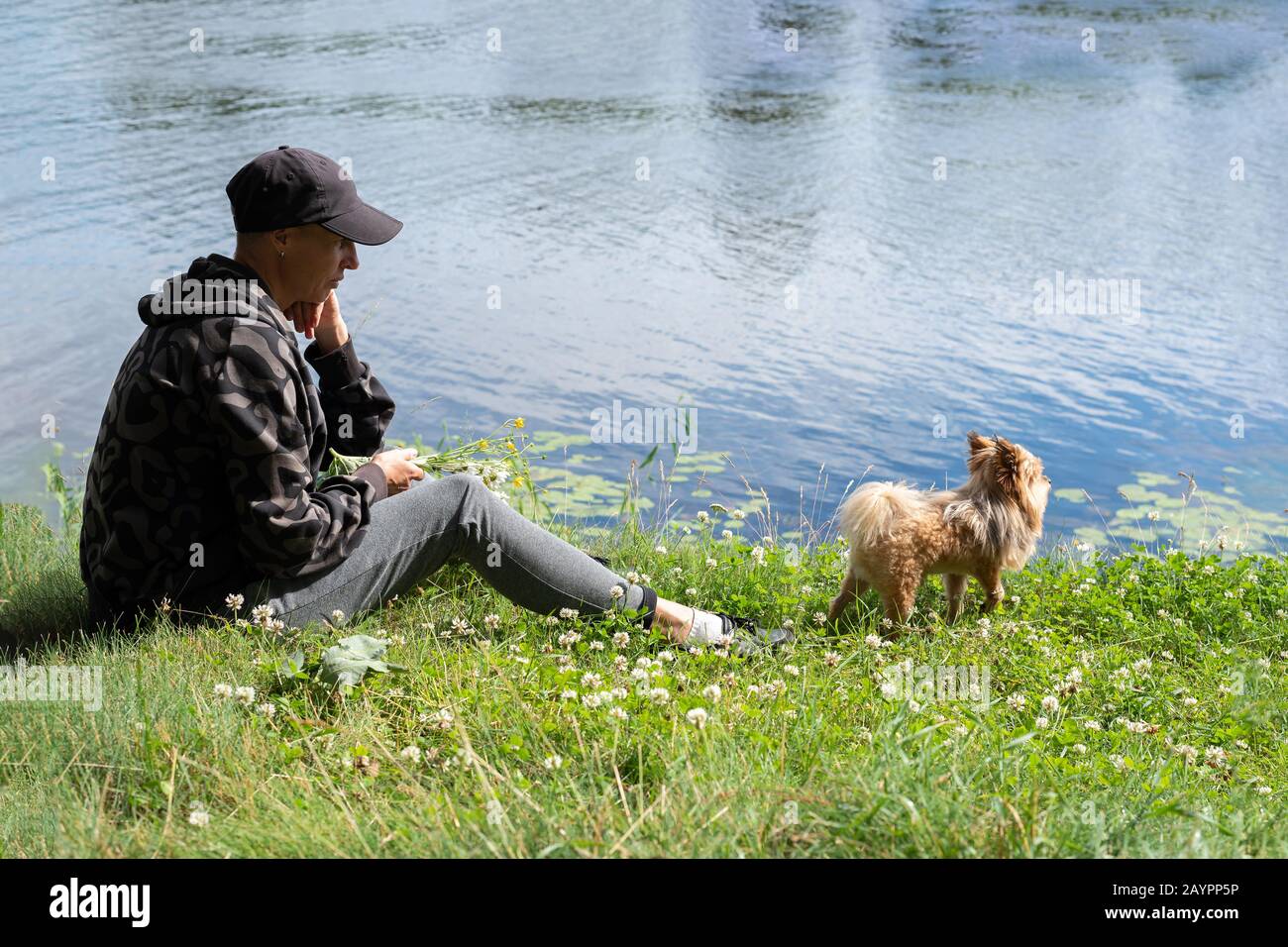 Una donna con un cane sul lago in estate. Foto Stock