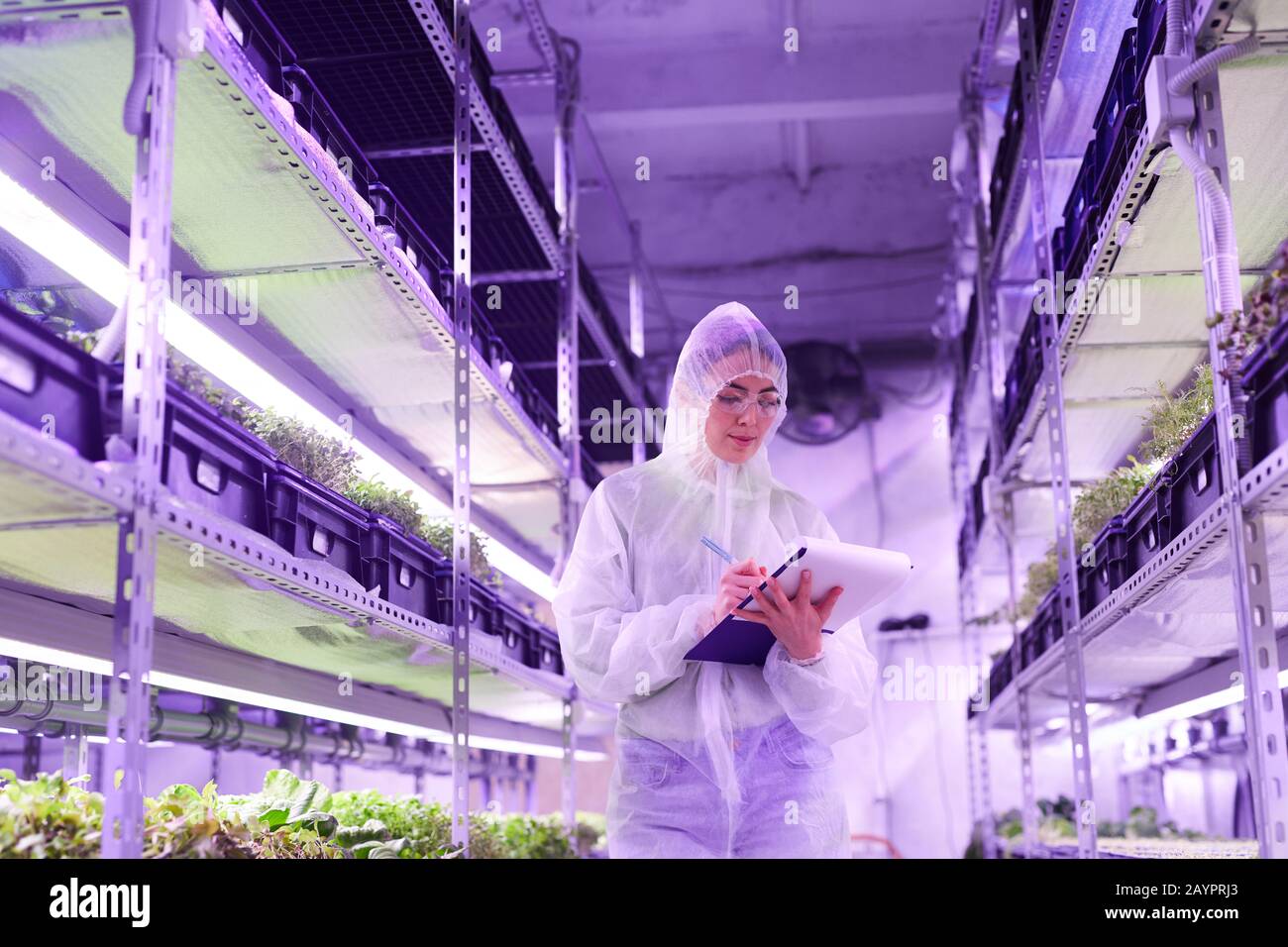 Ritratto di ingegnere agricolo femminile scrivere negli appunti mentre si sta tra gli scaffali in serra vivaio pianta illuminato da luce blu, copia spazio Foto Stock