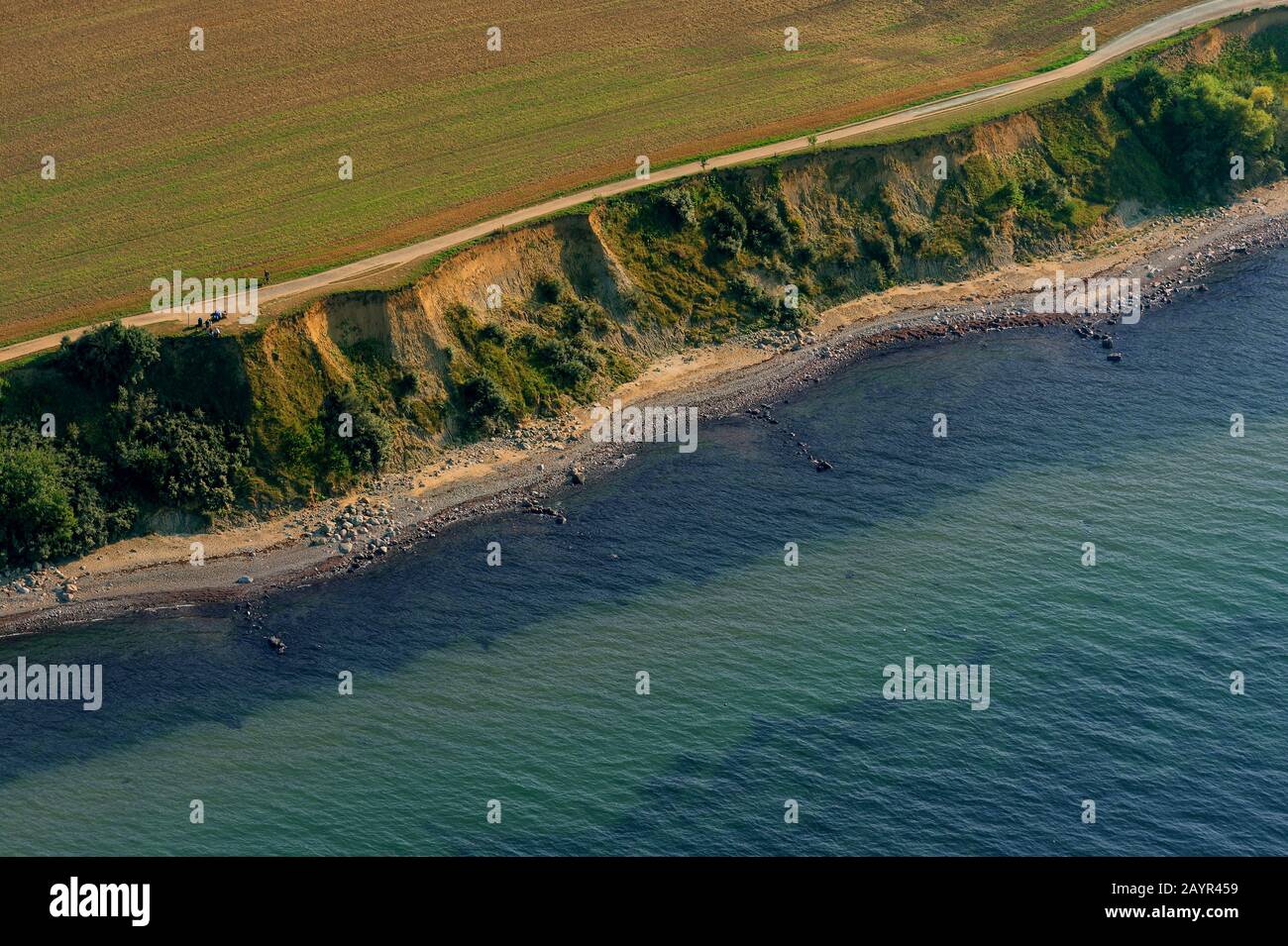 Veduta aerea della ripida costa di Brodten, Germania, Schleswig-Holstein, Ostholstein, Brodten Foto Stock