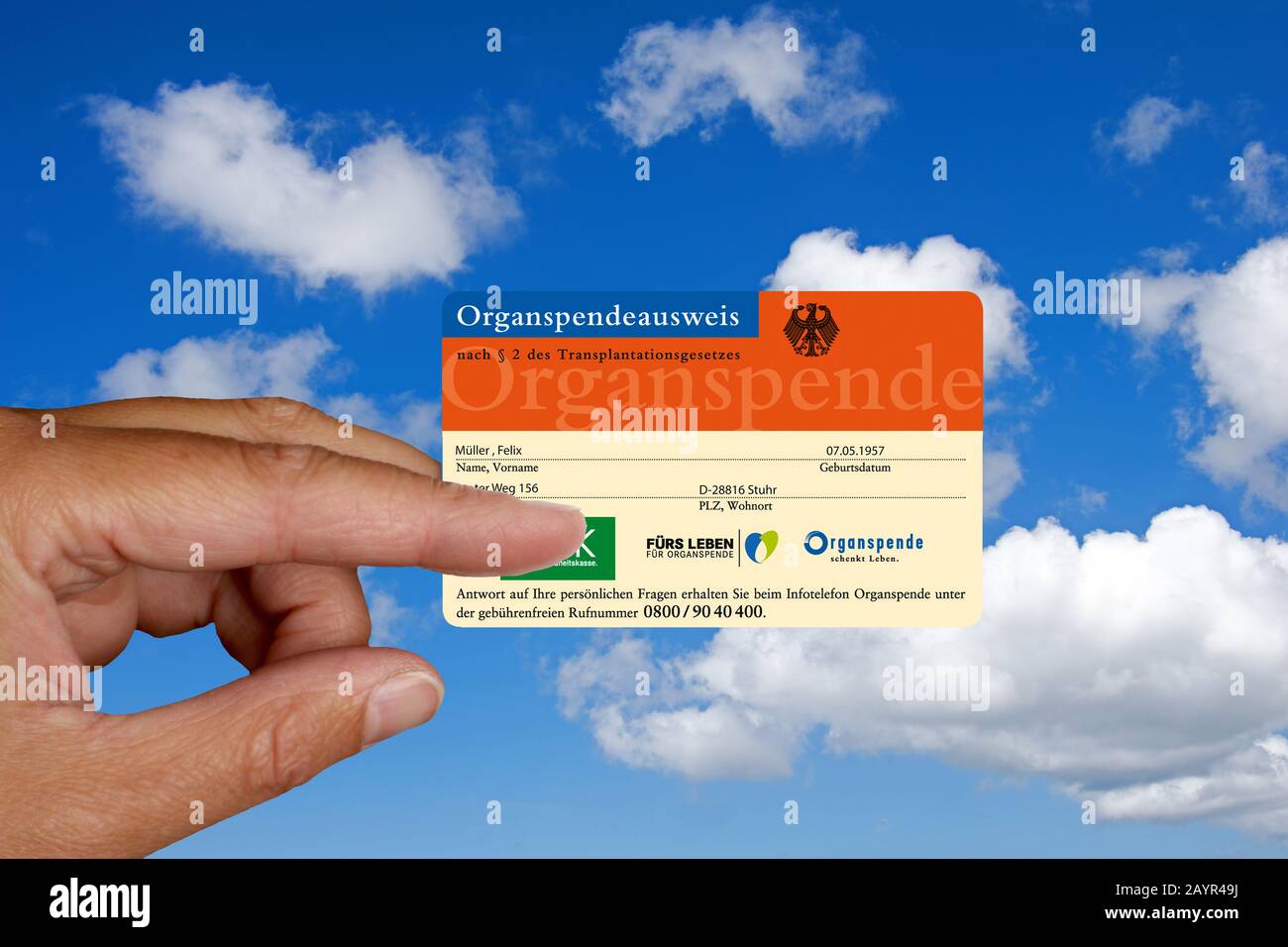 Mano che tiene un organo donatore carta, composizione, Germania Foto Stock