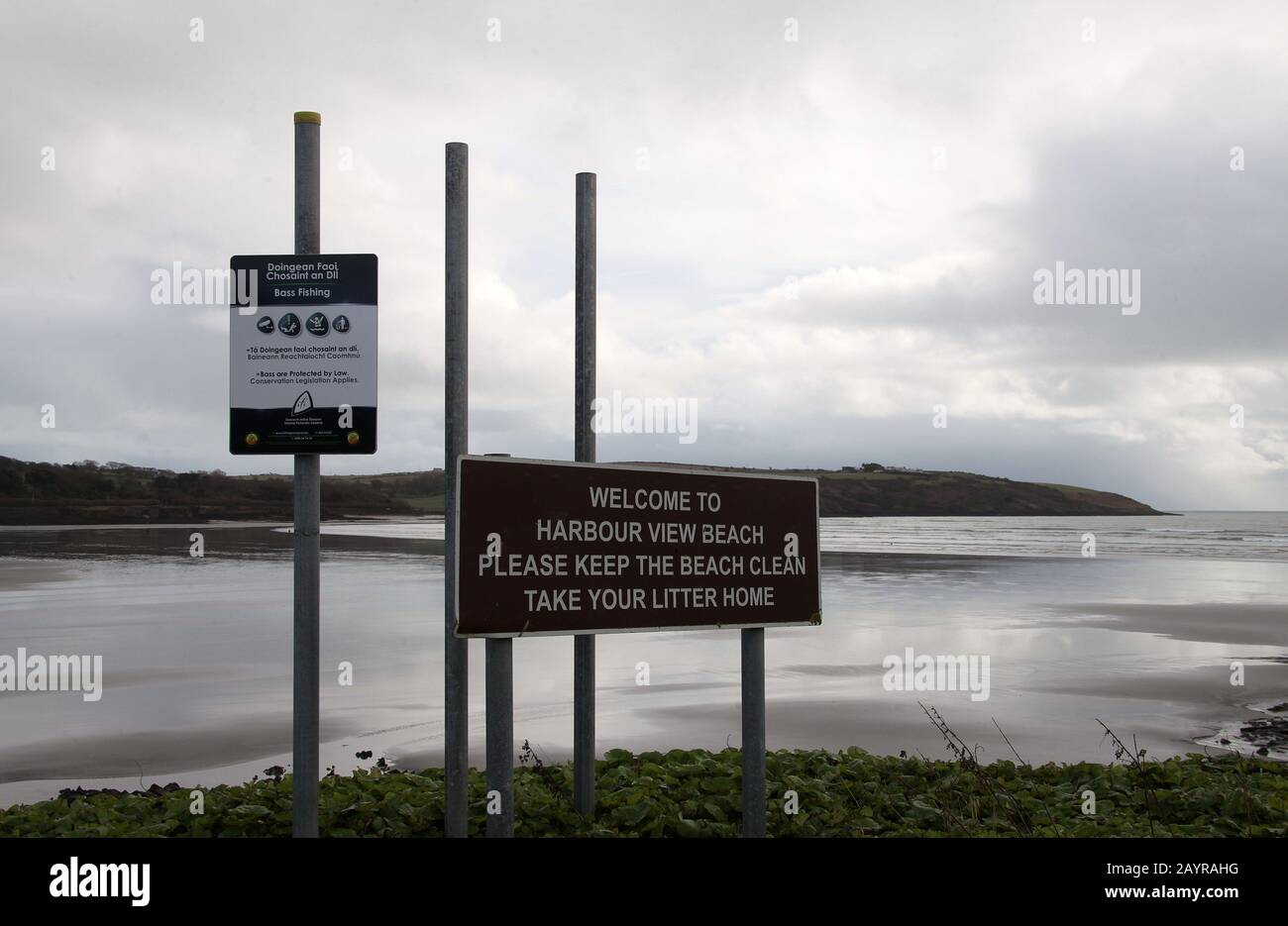 Cartello per la pesca dei bassi presso Harbor View Beach nell'Irlanda del Sud Foto Stock