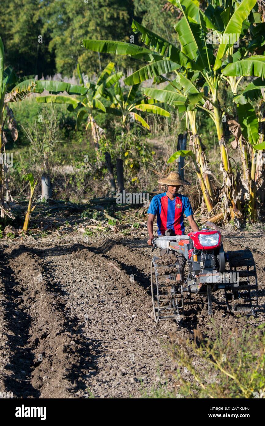 Un contadino sta arando il suo campo con un piccolo trattore al villaggio di Naungtaw sul lago Inle in Myanmar. Foto Stock