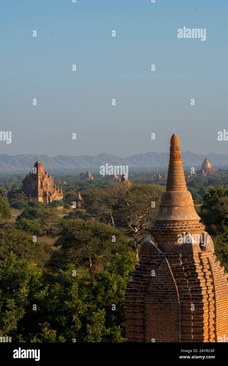 Vista dei templi dalla Pagoda Shwesandaw a Bagan in Myanmar. Foto Stock
