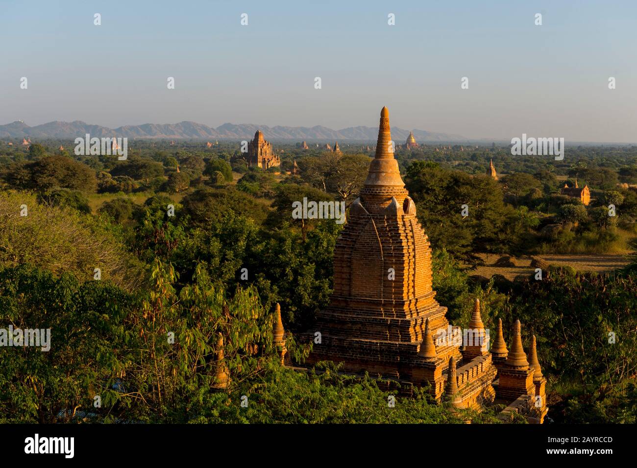 Vista dei templi dalla Pagoda Shwesandaw a Bagan in Myanmar. Foto Stock