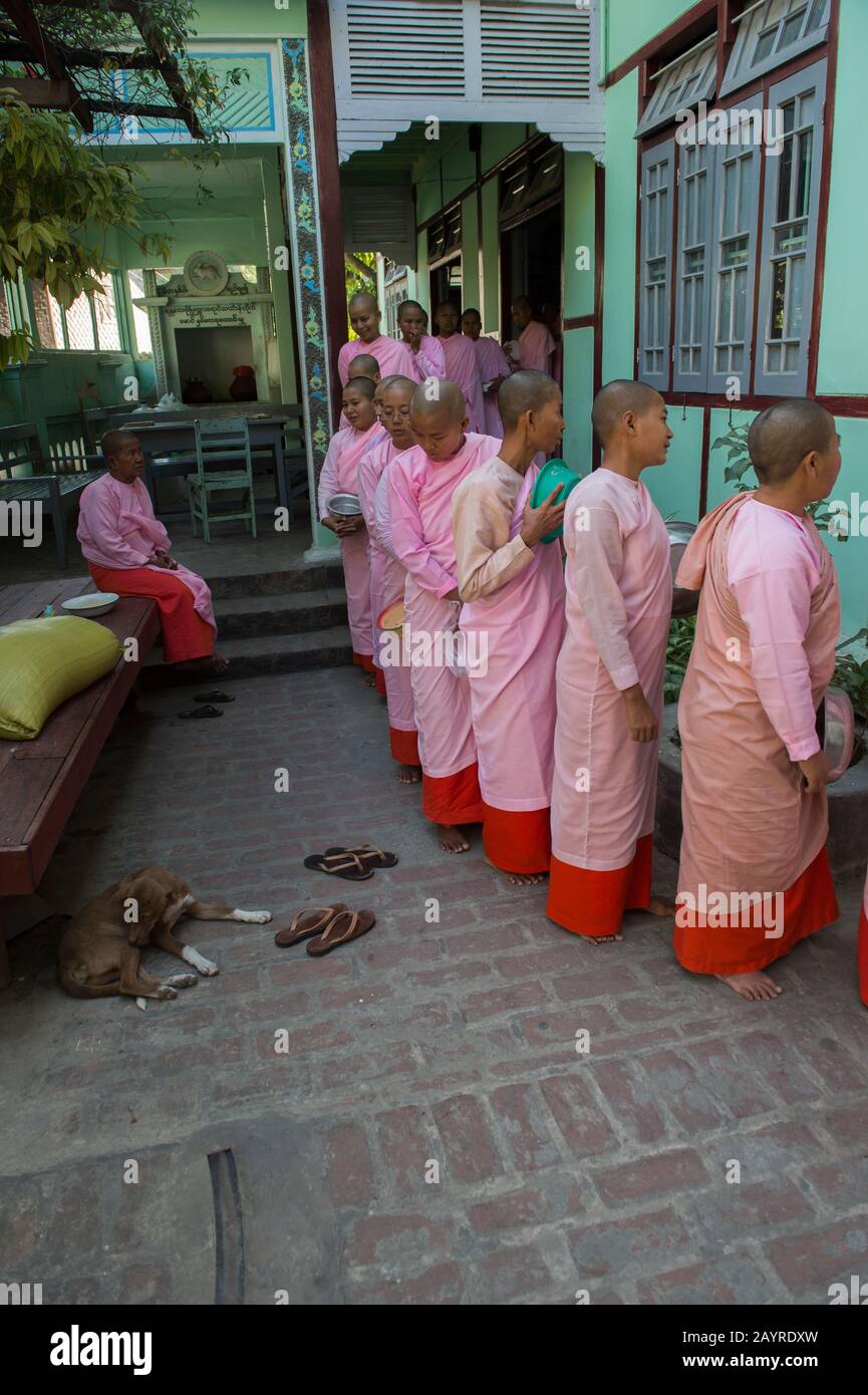 Le monache si stanno schierando per la cerimonia di consegna delle elemosine a Zayertheingi, un nunnery buddista a Sagaing, una città al di fuori di Mandalay, Myanmar. Foto Stock