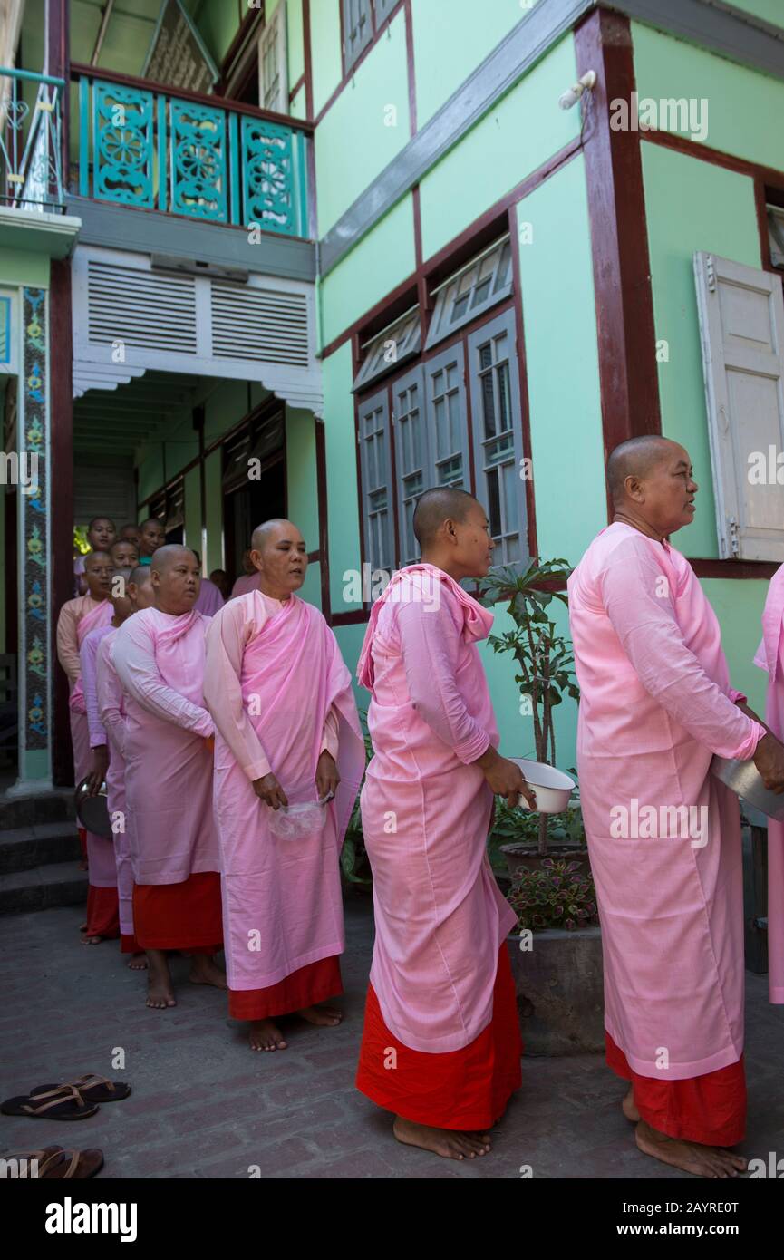 Le monache si stanno schierando per la cerimonia di consegna delle elemosine a Zayertheingi, un nunnery buddista a Sagaing, una città al di fuori di Mandalay, Myanmar. Foto Stock