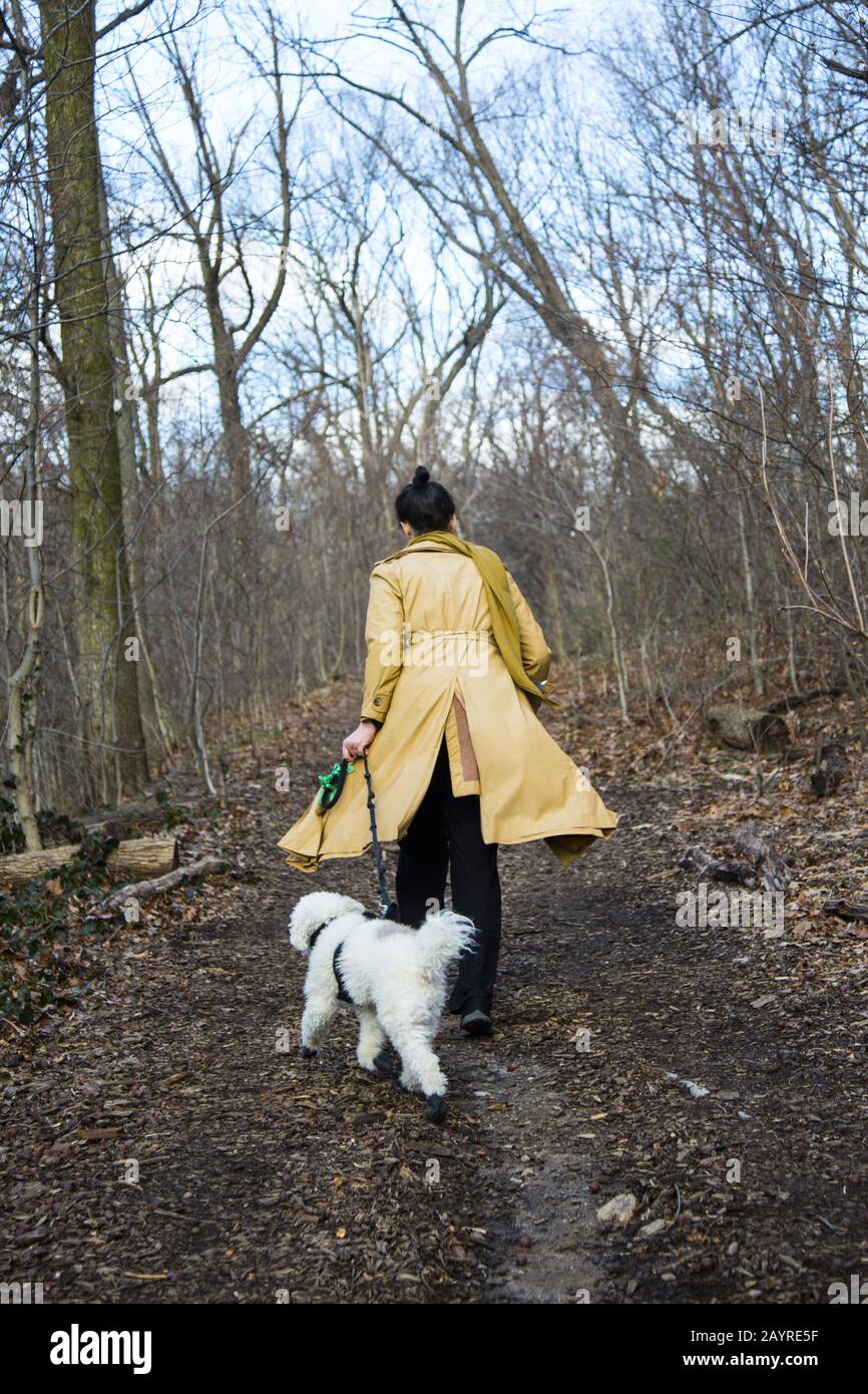 Donna cammina con il suo compagno canino lungo un sentiero durante l'inverno a Prospect Park, Brooklyn, New York. Foto Stock