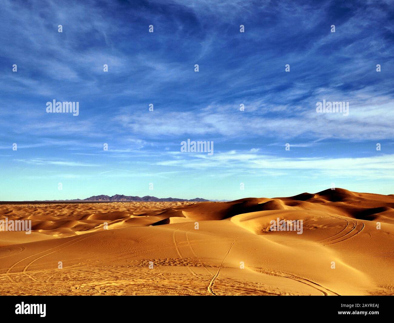Vista mozzafiato delle dune di sabbia imperiali in California. Cielo blu e sabbia dorata! Foto Stock