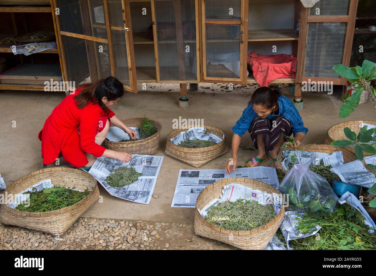 Una scena del villaggio con donne che ordinano i vermi di seta in Ban Xang Khong, un villaggio vicino Luang Prabang nel Laos centrale, che è conosciuto per il loro pro della carta della iuta Foto Stock