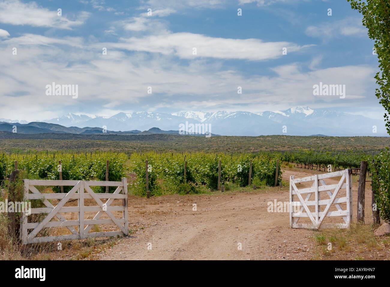 Pittoresco scenario rurale di ingresso porta di legno al vigneto con cime innevate sullo sfondo. Stagione primaverile nella valle di Uco, Mendoza, Arge Foto Stock