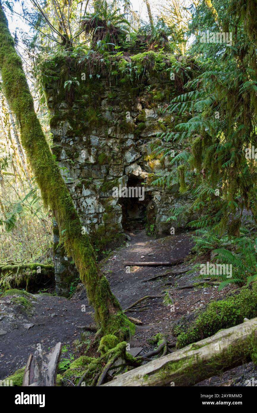 La fornace storica con felci e muschi che crescono dalle fessure sul Lime Kiln Trail vicino alle cascate di Granite, Washington state, USA. Foto Stock