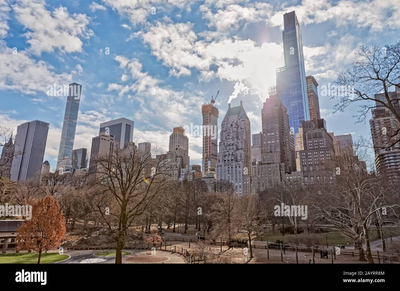 Alberi di New York nel periodo invernale di Central Park Foto Stock