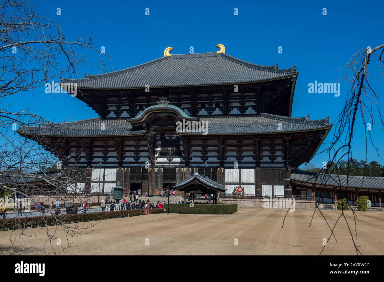 Vista della Sala del Grande Buddha (daibutsuden) del tempio Todai-ji (Tempio Grande Orientale), che è un complesso di templi buddisti e patrimonio dell'umanità dell'UNESCO Foto Stock