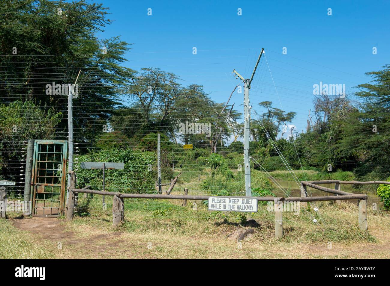 Il Sweetwaters Chimpanzee Sanctuary Al Ol Pejeta Conservancy In Kenya. Foto Stock