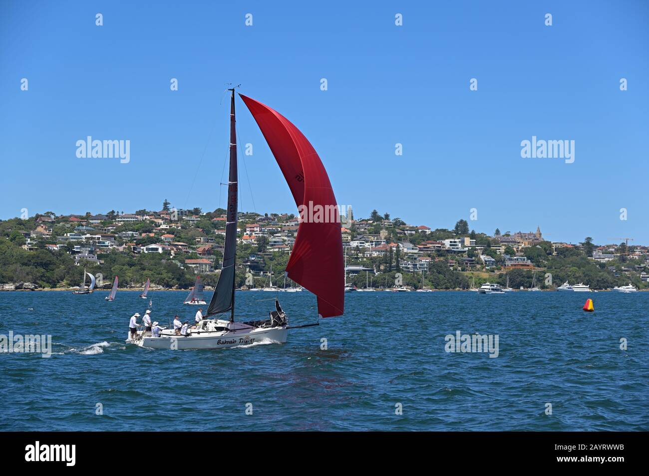La baia del porto di Sydney lungo il sobborgo di Vaucluse, Sydney AU Foto Stock