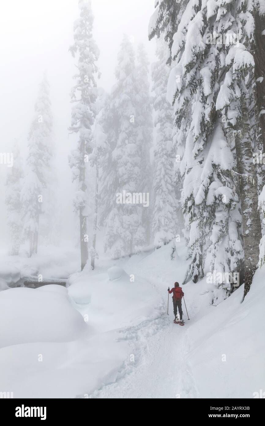 WA17435-00... Giornata Invernale Nella Natura Selvaggia Dei Laghi Alpini, Nella Foresta Nazionale Di Mount Baker Snoqualmie. Foto Stock