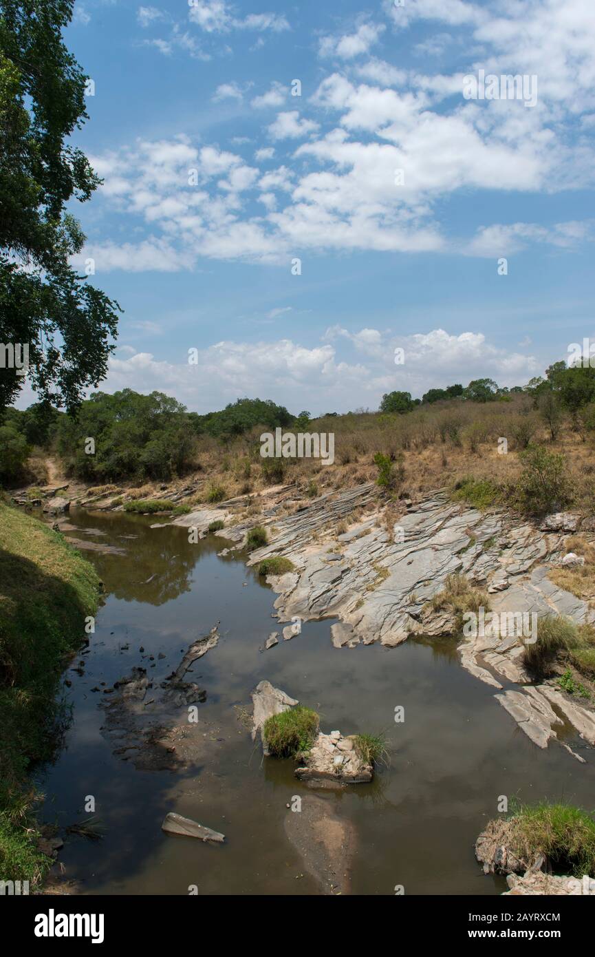 Vista sul fiume Talek nella Riserva Nazionale Masai Mara in Kenya. Foto Stock