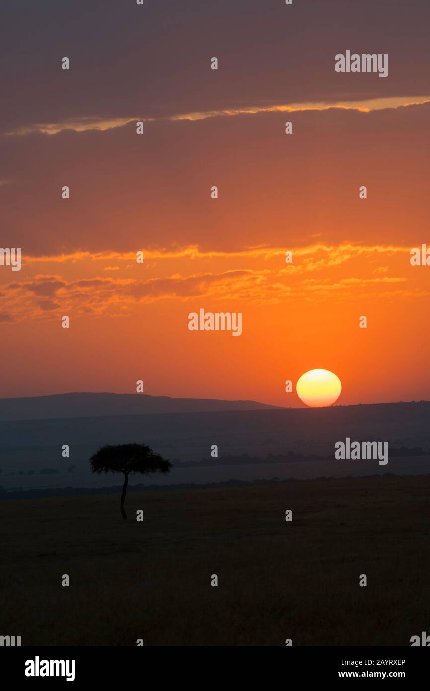 Tramonto sulla Riserva Nazionale Masai Mara in Kenya. Foto Stock
