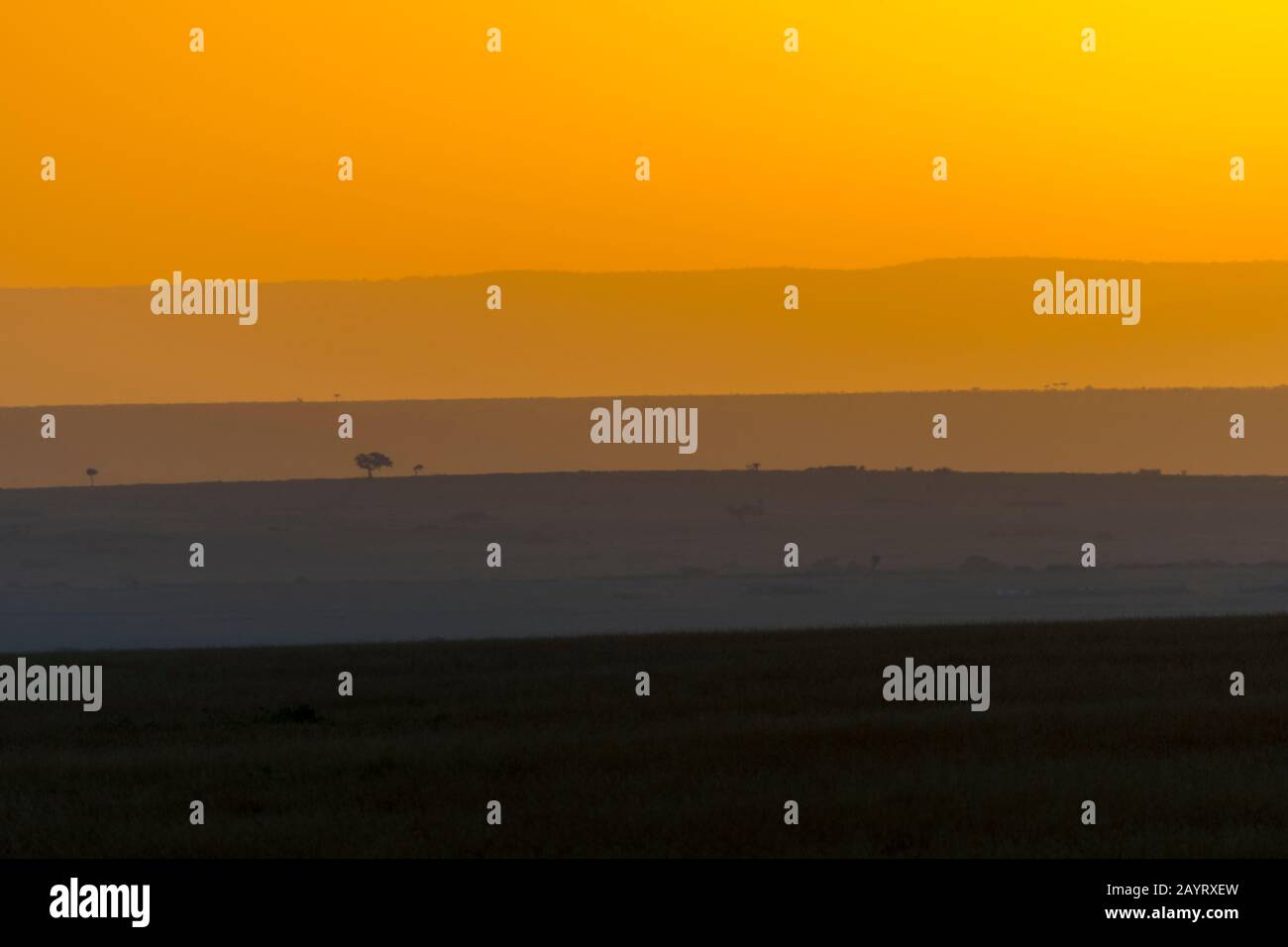 Tramonto sulla Riserva Nazionale Masai Mara in Kenya. Foto Stock