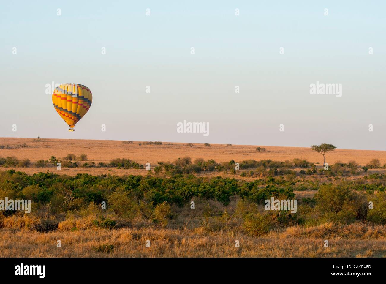 Una mongolfiera sorvola la Riserva Nazionale Masai Mara in Kenya. Foto Stock