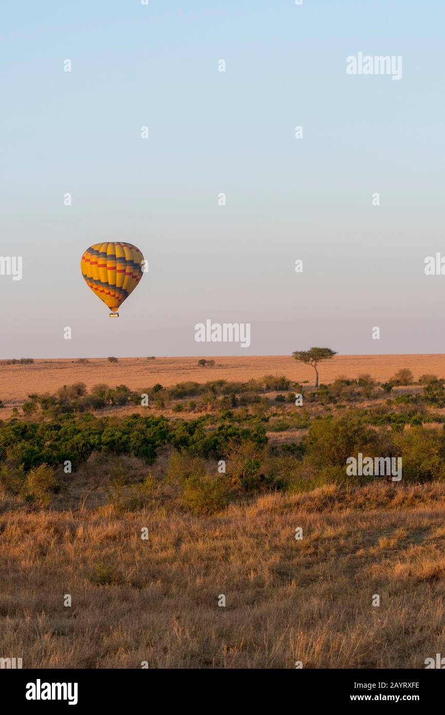 Una mongolfiera sorvola la Riserva Nazionale Masai Mara in Kenya. Foto Stock