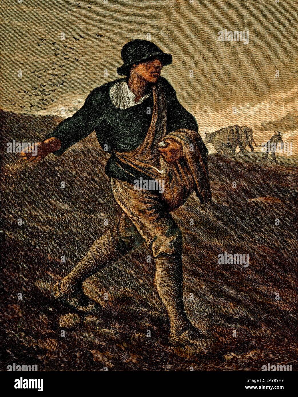 Illustrazione del dipinto intitolato 'il seminatore' di Jean-François Millet (1814-1875) pittore francese e uno dei fondatori della scuola di Barbizon. Millet è noto per le sue scene di contadini ed è classificato come parte del Movimento D'arte Realismo. Foto Stock