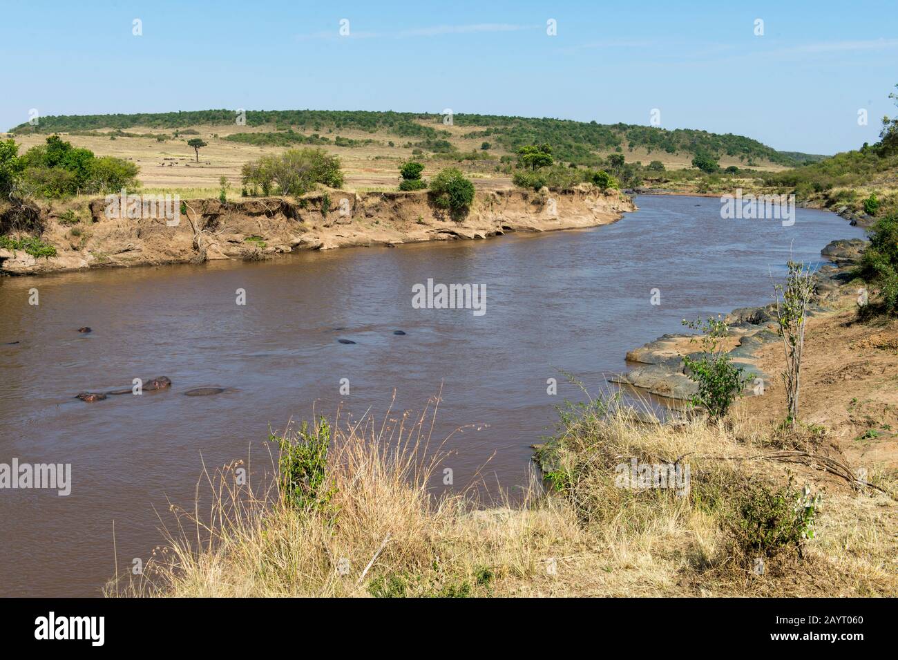 Vista sul fiume Mara nella Riserva Nazionale Masai Mara in Kenya. Foto Stock