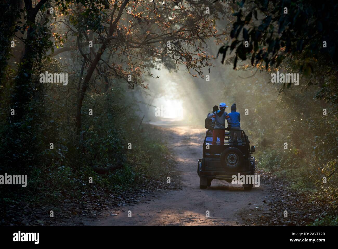 L'immagine del turista in safari all'alba nella giungla del parco nazionale Corbett, India Foto Stock