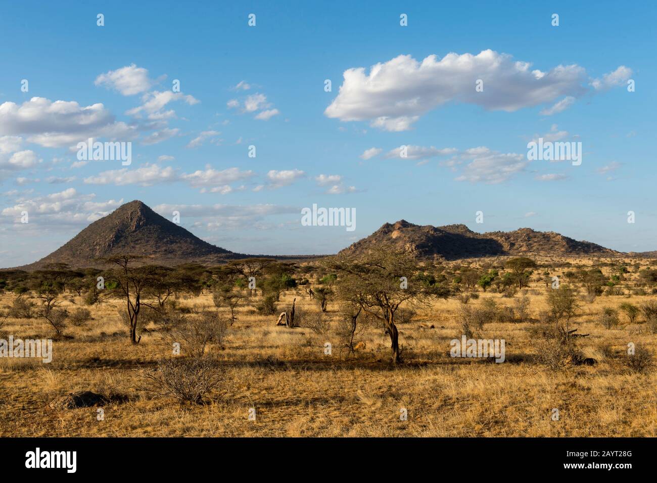Paesaggio secco nella Riserva nazionale di Samburu in Kenya. Foto Stock
