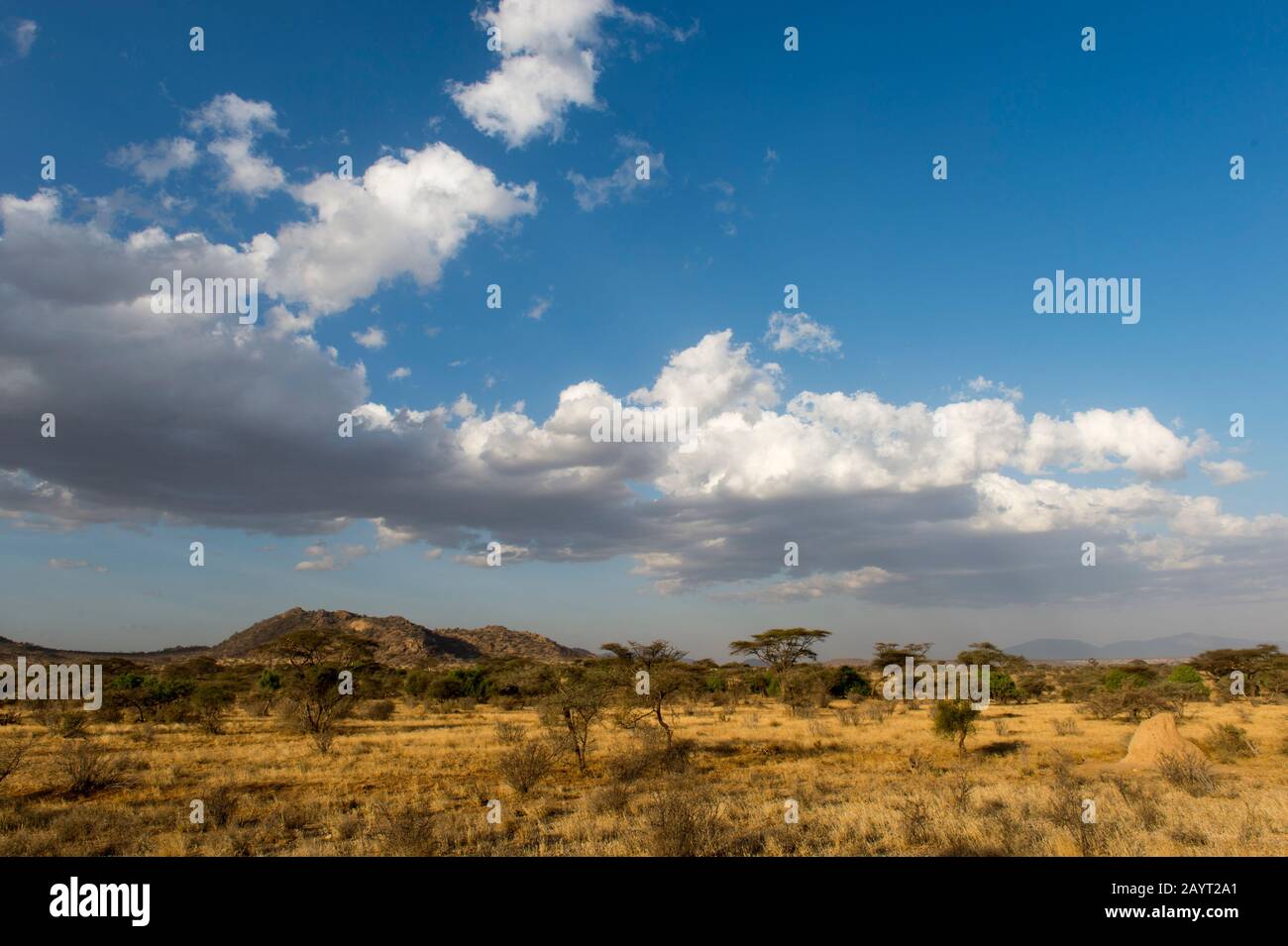 Paesaggio secco con formazioni nubi nella Riserva Nazionale di Samburu in Kenya. Foto Stock