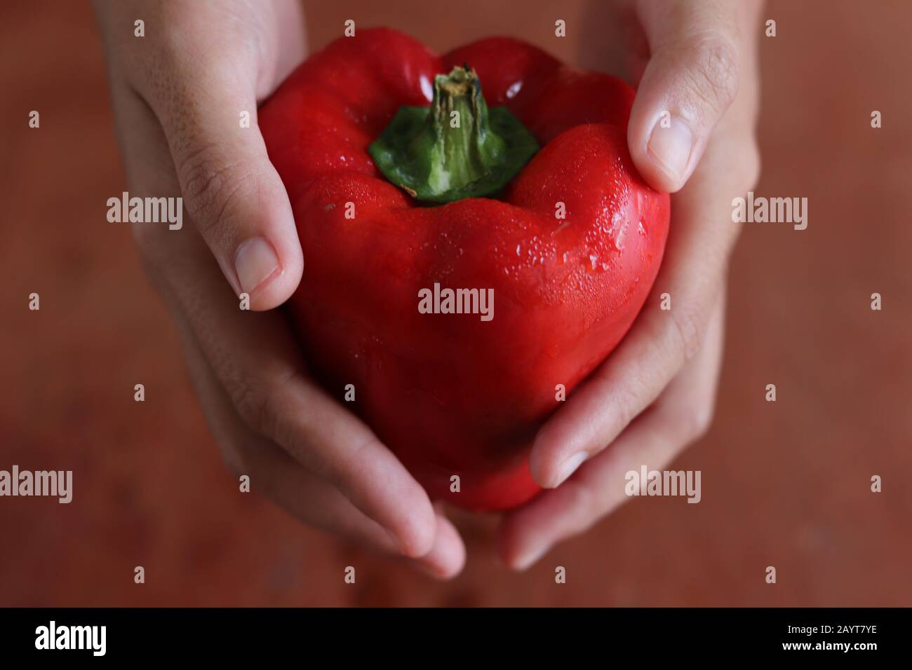 Peperone rosso su sfondo di legno scuro che mostra il concetto di cucina, cucina, stile di vita vegano e dieta a base di piante Foto Stock