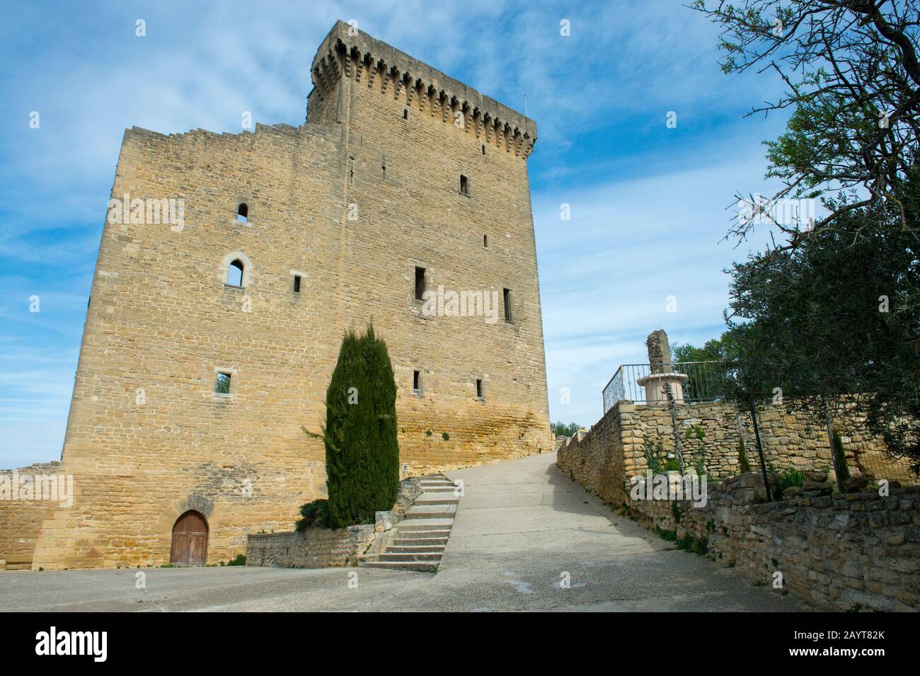 Le rovine di un castello medievale sulla cima di una collina sopra il villaggio di Chateauneuf-du-Pape, che si trova nel dipartimento di Vaucluse, Provence-Alpes-Côte d' Foto Stock