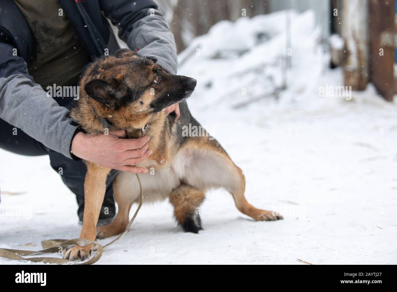 l'uomo abbraccia un cane truccato, ferito e spaventato. Concetto di volontariato e rifugi per animali. Foto Stock