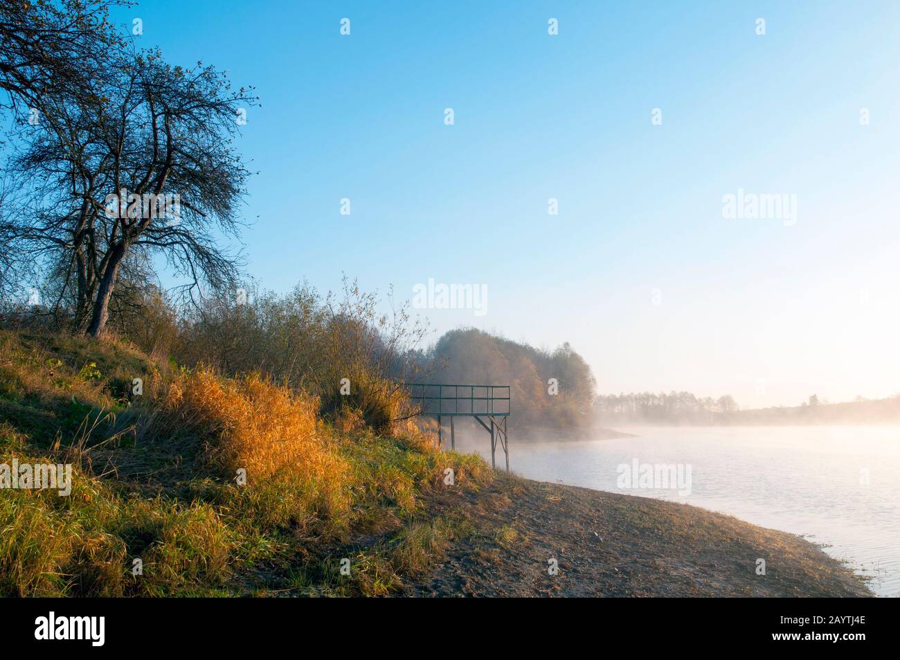 mattina soleggiata sul lago forestale sullo sfondo della foresta Foto Stock
