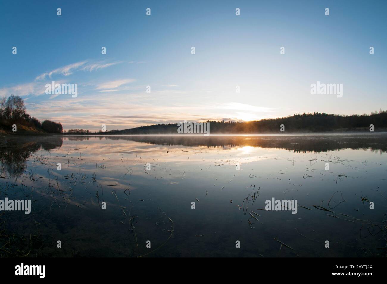 mattina soleggiata sul lago forestale sullo sfondo della foresta Foto Stock