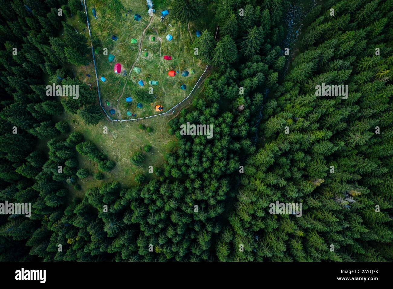 Campeggio con tende viste da un drone nei boschi densi. Foto Stock