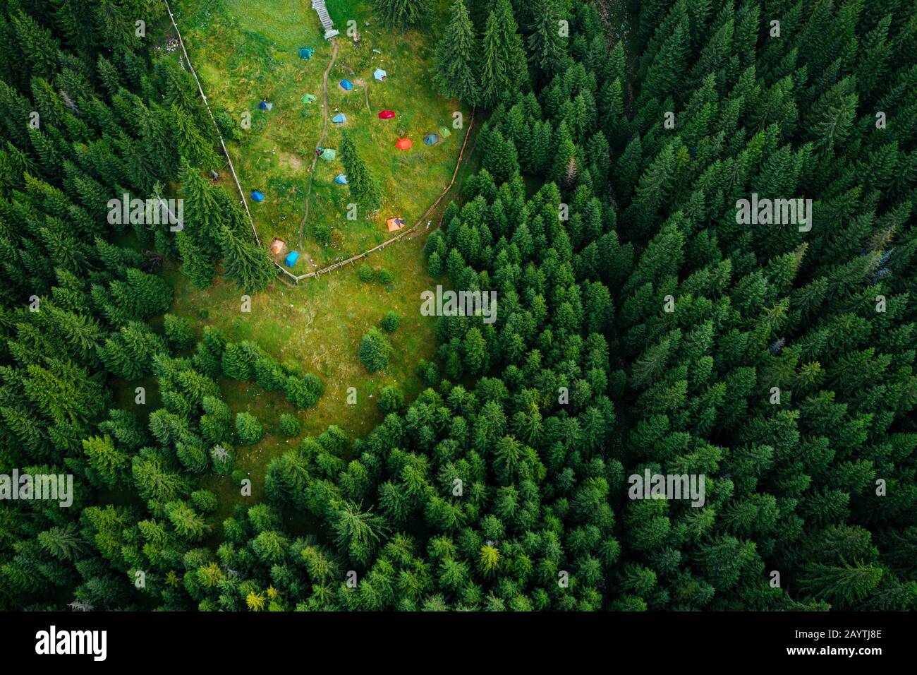 Campeggio con tende viste da un drone nei boschi densi. Foto Stock