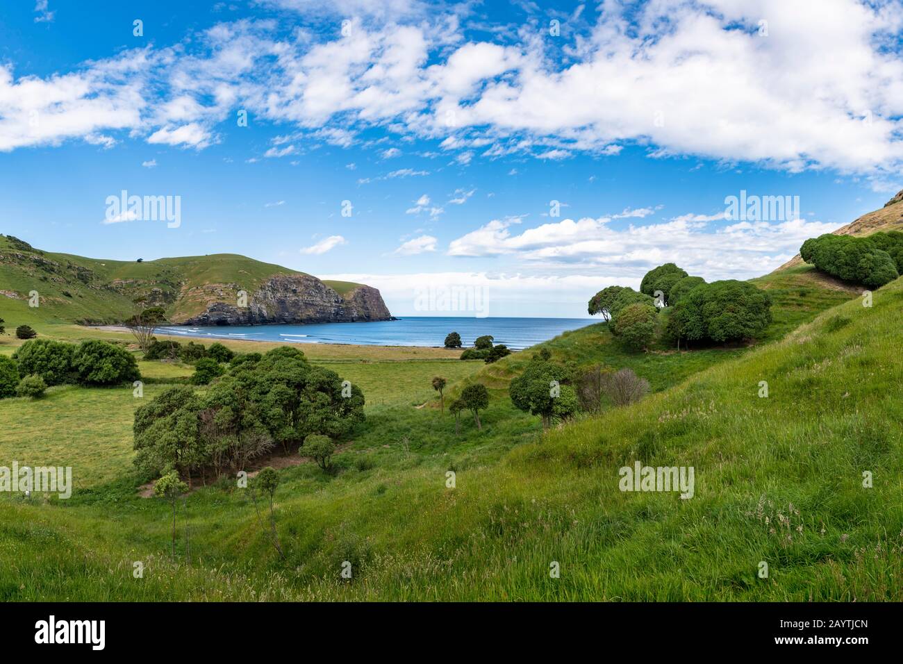 Hickory Bay, Banks Peninsula, Akaroa, Vicino Christchurch, Canterbury, South Island, Nuova Zelanda Foto Stock