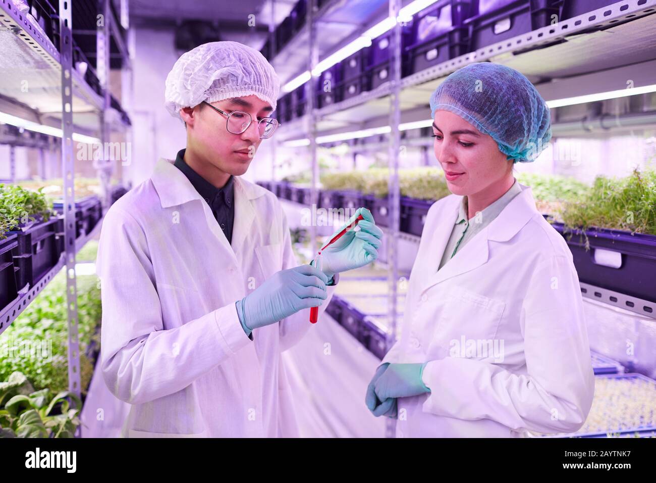 Girovita ritratto di due scienziati che tengono tubo di vetro con liquido rosso mentre lavorano in serra agricola, copia spazio Foto Stock