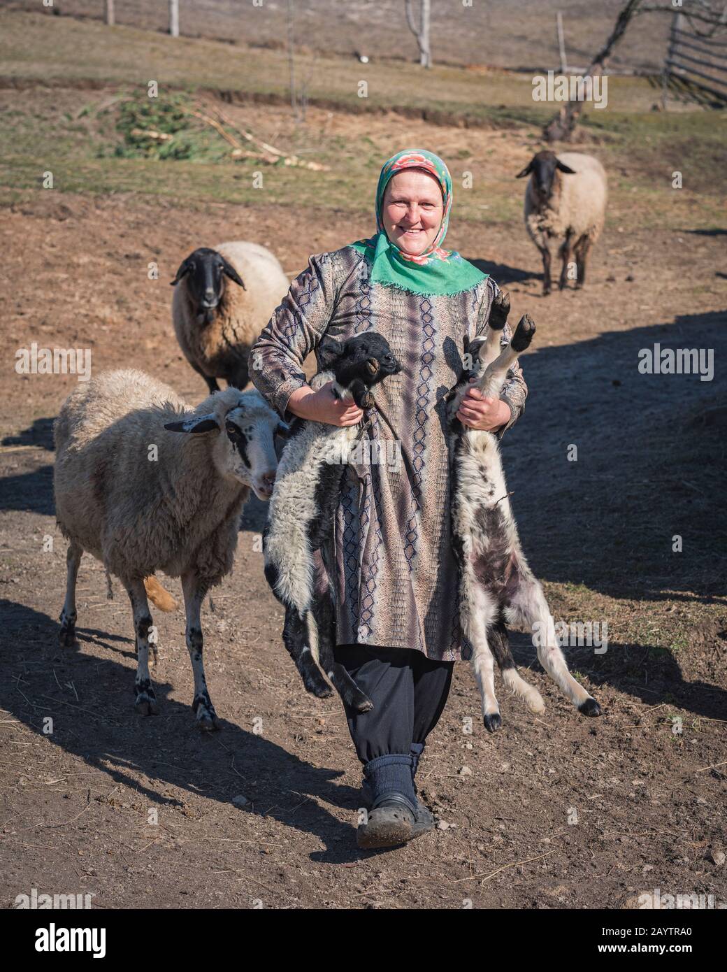 Villaggio di Krastava, montagne di Rhodope / Bulgaria - 16 febbraio 2020: Ritratto di vecchia donna abbraccio agnello in fattoria. Foto Stock