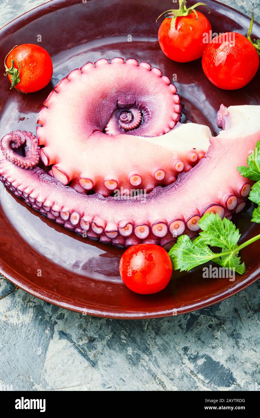 Tentacoli di polpo crudo. Polpo crudo pronto per cucinare ...