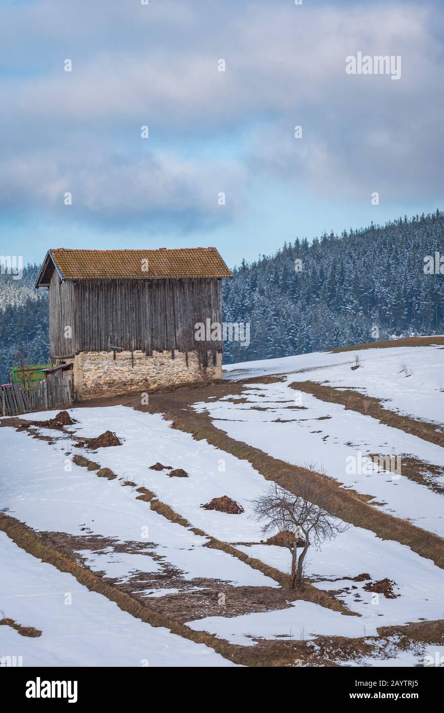 Fienile in legno sulle montagne Rhodope, Bulgaria Foto Stock