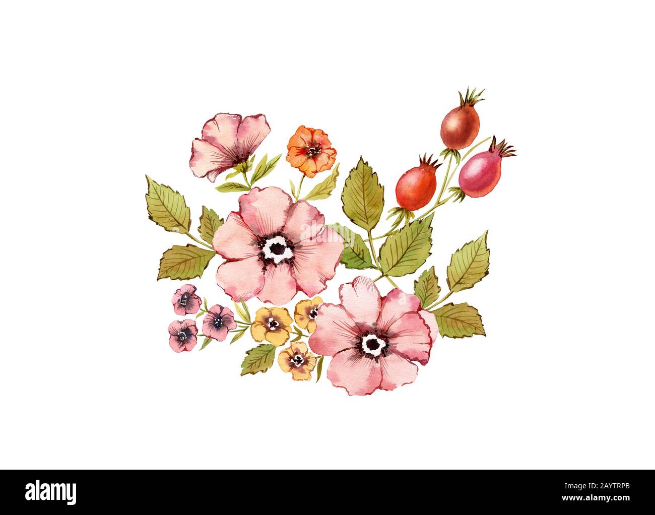 Composizione floreale acquerello. Bouquet di fiori rosa polverosi: Frutti di rosa, briar, foglie, isolati su sfondo bianco. Design naturale dipinto a mano Foto Stock