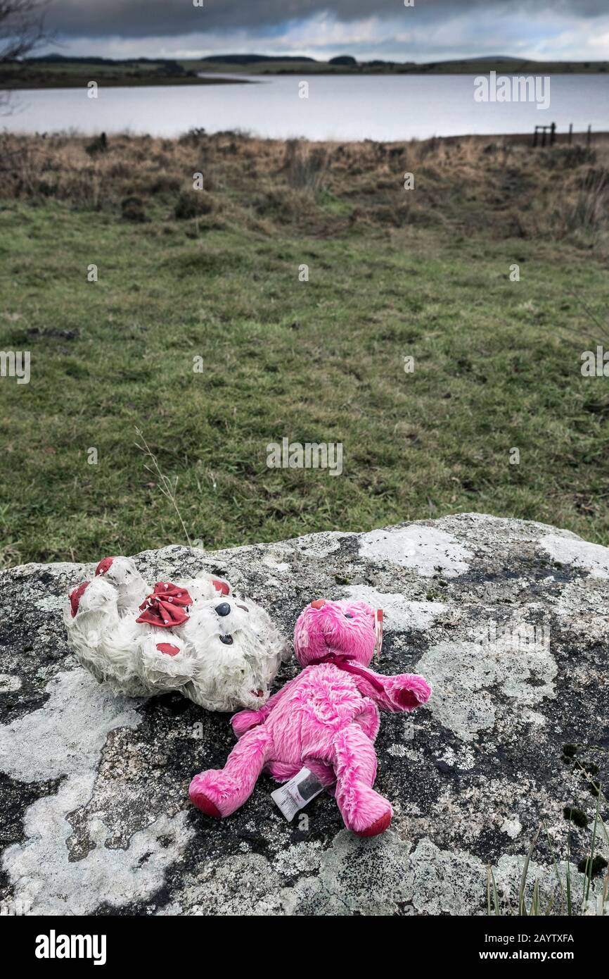 Perso il peluche a sinistra dietro su una roccia di granito Colliford vicino lago a Bodmin Moor in Cornovaglia. Foto Stock