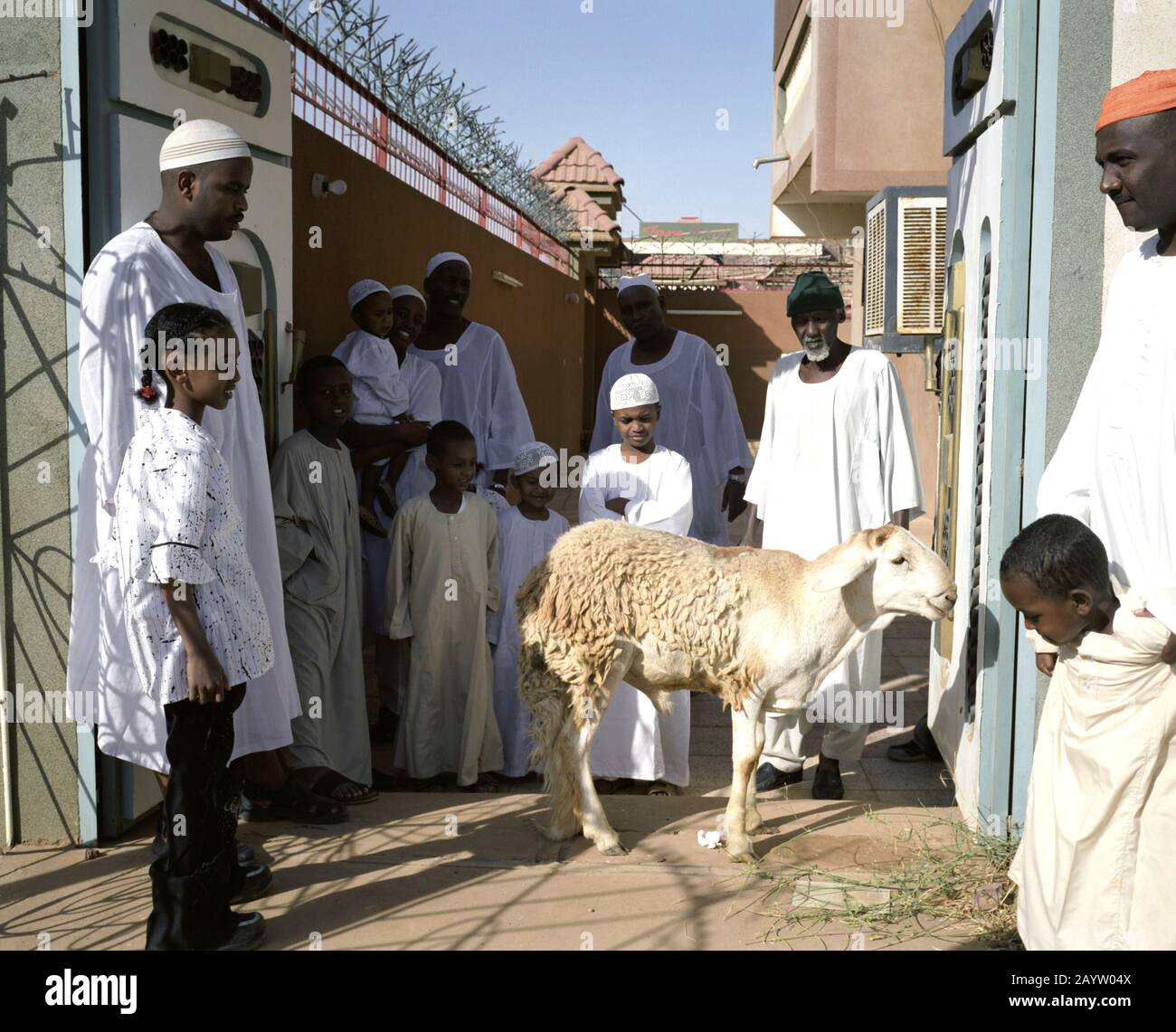 Celebrazione di Eid el Kabir a Khartoum, Sudan. Questa famiglia sta guardando le pecore prima del sacrificio. Foto Stock